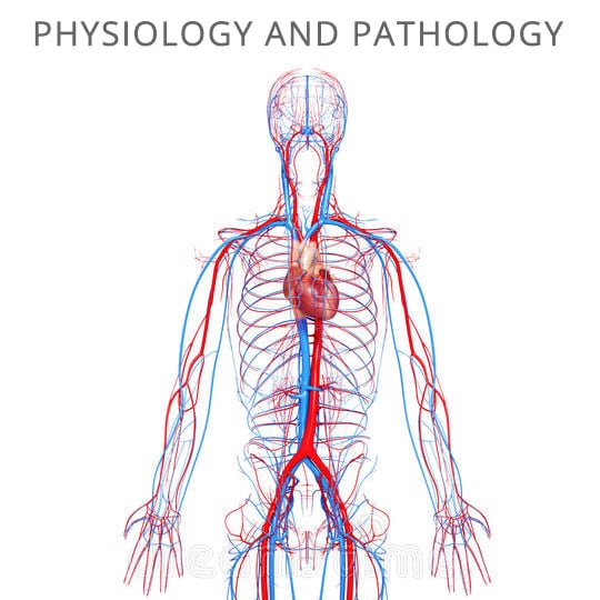 physiology and pathology
