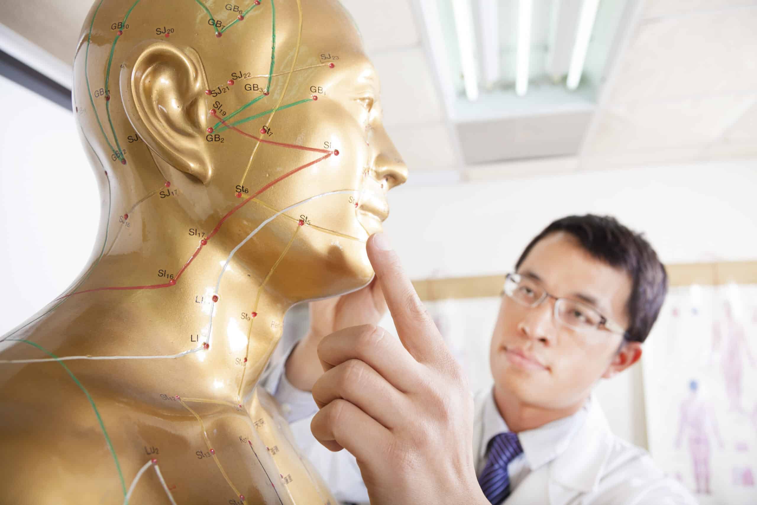 Traditional Chinese Medicine doctor teaching Acupoint on human model