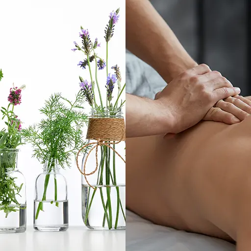 Herbs and massage. East Meets West Double Diploma in Massage and naturotherapy TCM